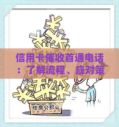 信用卡首通电话：了解流程、应对策略及注意事项，全面解决用户疑虑