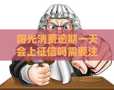 阳光消费逾期一天会上吗需要注意什么