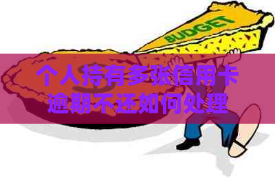 个人持有多张信用卡逾期不还如何处理