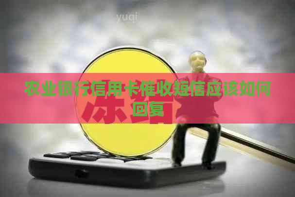 农业银行信用卡短信应该如何回复