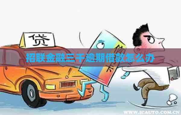 招联金融三千逾期借款怎么办