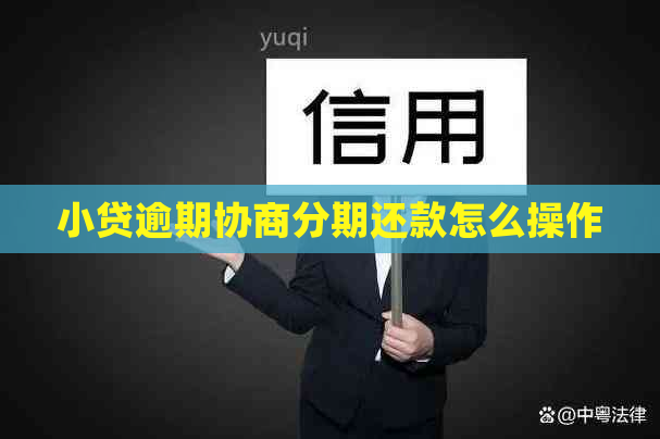 小贷逾期协商分期还款怎么操作