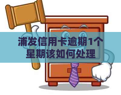 浦发信用卡逾期1个星期该如何处理