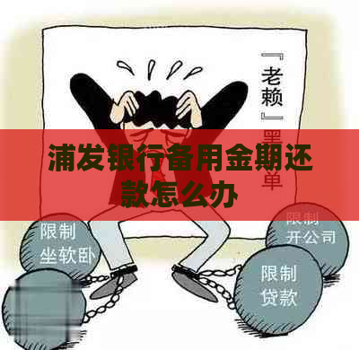 浦发银行备用金期还款怎么办