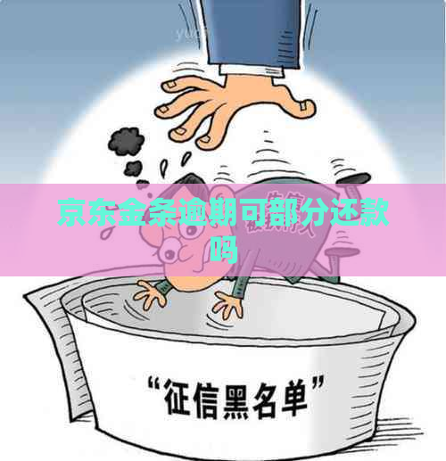 京东金条逾期可部分还款吗
