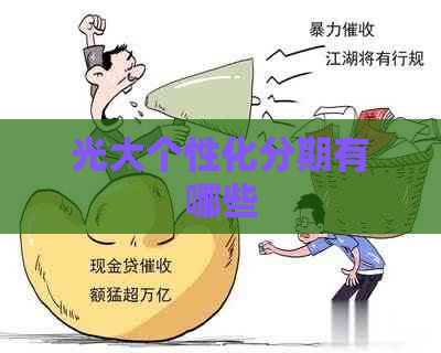 光大个性化分期有哪些