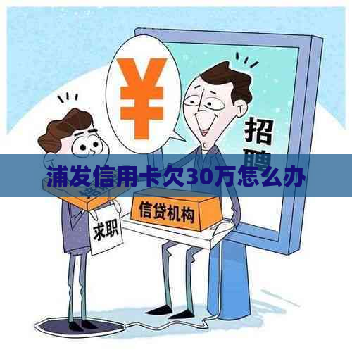 浦发信用卡欠30万怎么办