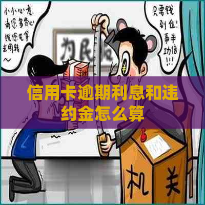 信用卡逾期利息和违约金怎么算