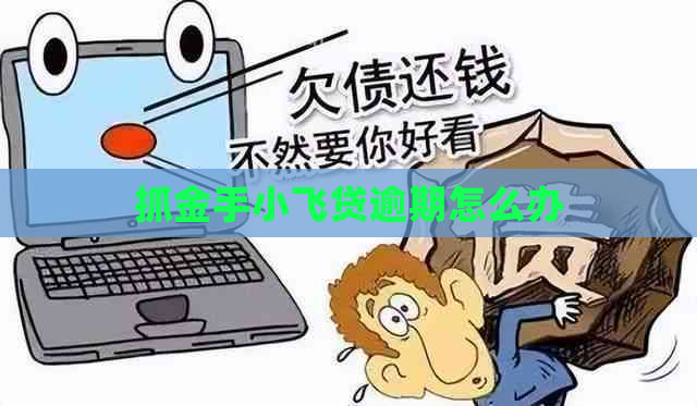 抓金手小飞贷逾期怎么办