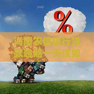 海南农信银行贷款逾期一天该如何处理