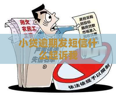 小贷逾期发短信什么起诉我