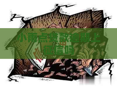 小雨点贷款逾期上吗