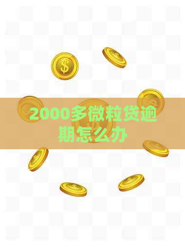 2000多微粒贷逾期怎么办