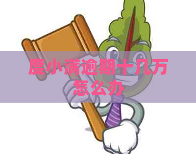 度小满逾期十几万怎么办
