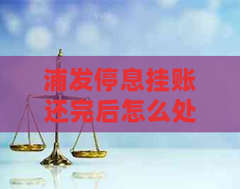 浦发停息挂账还完后怎么处理