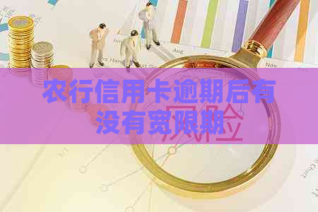 农行信用卡逾期后有没有宽限期