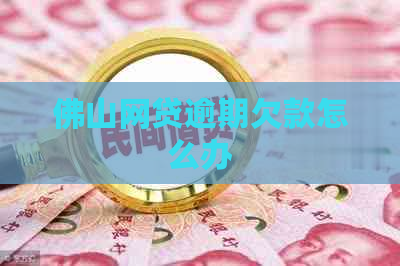 佛山网贷逾期欠款怎么办