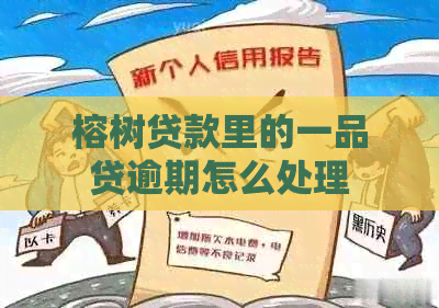 榕树贷款里的一品贷逾期怎么处理