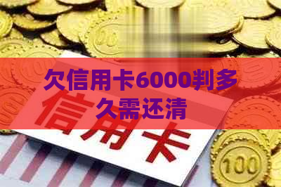 欠信用卡6000判多久需还清