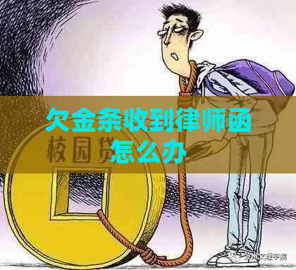 欠金条收到律师函怎么办