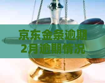 京东金条逾期2月逾期情况解析