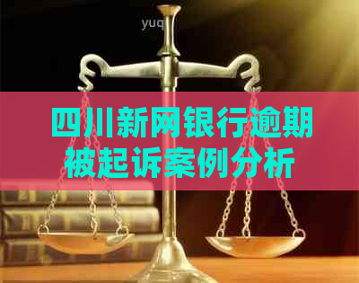 四川新网银行逾期被起诉案例分析