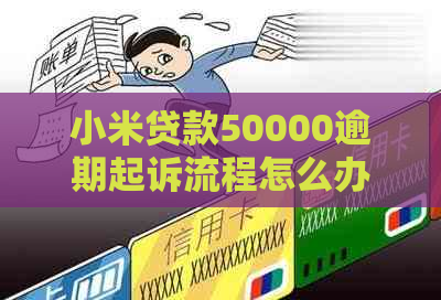 小米贷款50000逾期起诉流程怎么办理