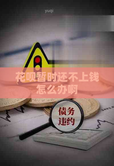 花呗暂时还不上钱怎么办啊