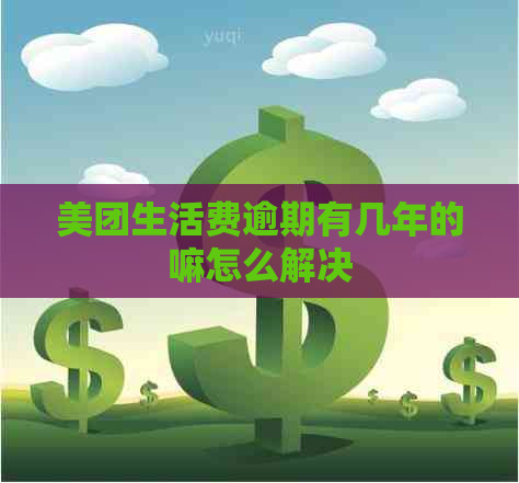 美团生活费逾期有几年的嘛怎么解决