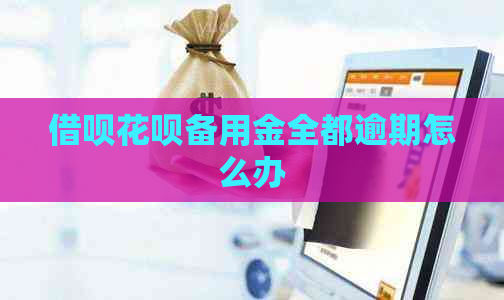 借呗花呗备用金全都逾期怎么办