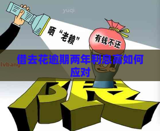 借去花逾期两年利息高如何应对