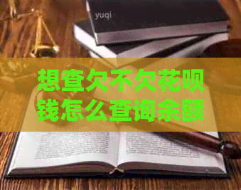 想查欠不欠花呗钱怎么查询余额
