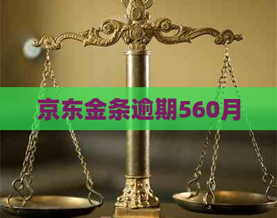 京东金条逾期560月