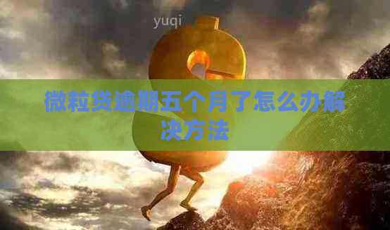 微粒贷逾期五个月了怎么办解决方法