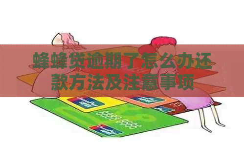 蜂蜂贷逾期了怎么办还款方法及注意事项