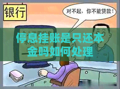 停息挂账是只还本金吗如何处理