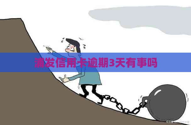 浦发信用卡逾期3天有事吗