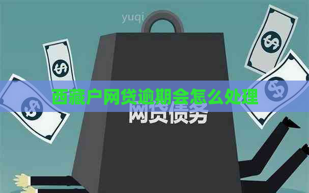      户网贷逾期会怎么处理