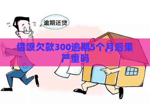 借呗欠款300逾期5个月后果严重吗