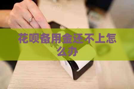 花呗备用金还不上怎么办