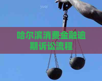 哈尔滨消费金融逾期诉讼流程