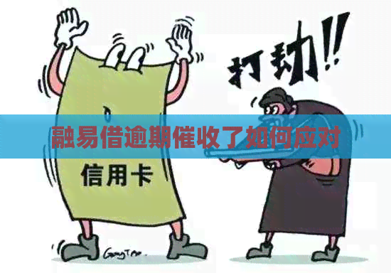 融易借逾期了如何应对