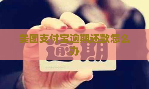 美团支付宝逾期还款怎么办