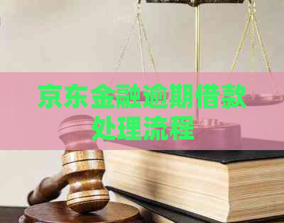 京东金融逾期借款处理流程