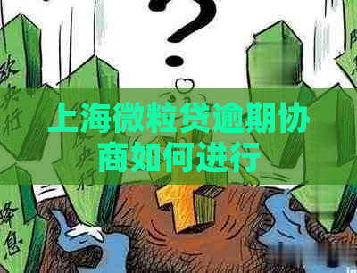 上海微粒贷逾期协商如何进行