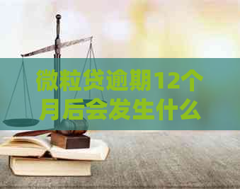 微粒贷逾期12个月后会发生什么