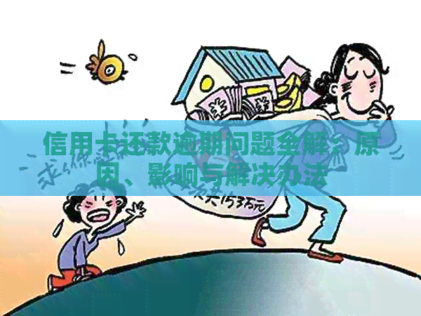 信用卡还款逾期问题全解：原因、影响与解决办法