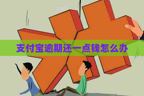 支付宝逾期还一点钱怎么办