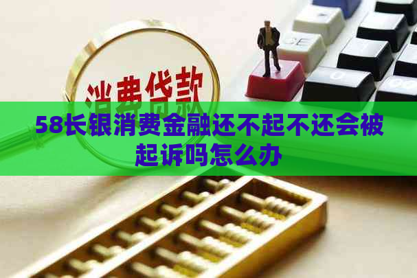 58长银消费金融还不起不还会被起诉吗怎么办