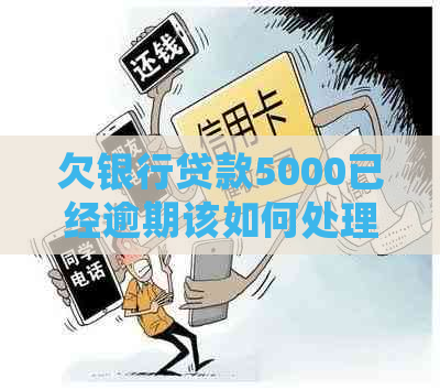 欠银行贷款5000已经逾期该如何处理